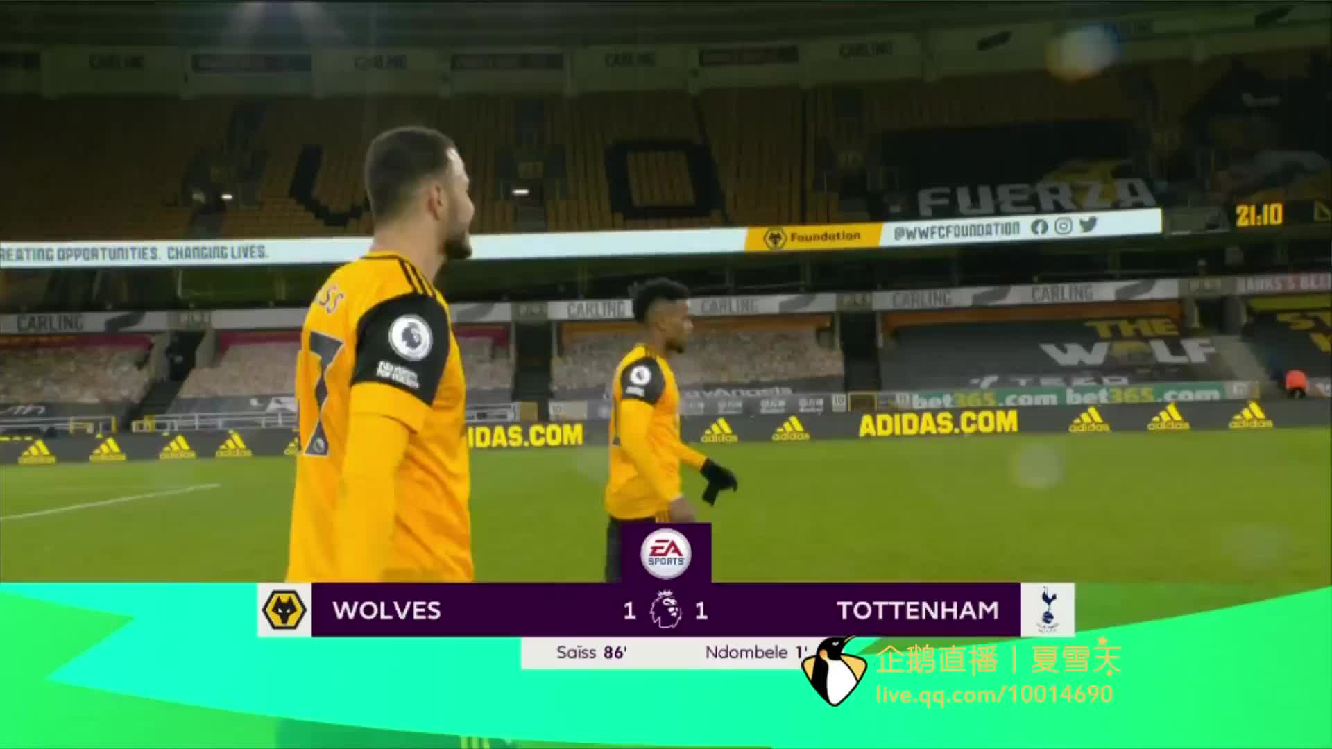 的悉心栽培 的悉心栽培